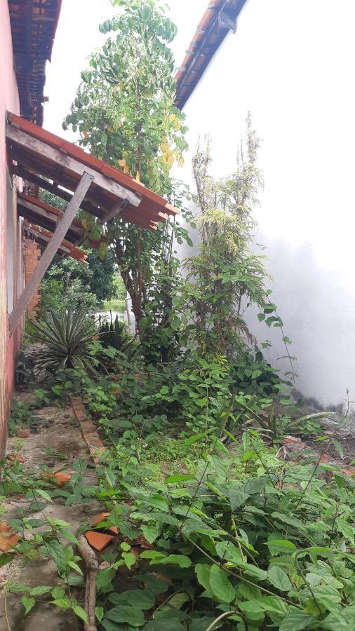 Natural Hostel أتينز المظهر الخارجي الصورة
