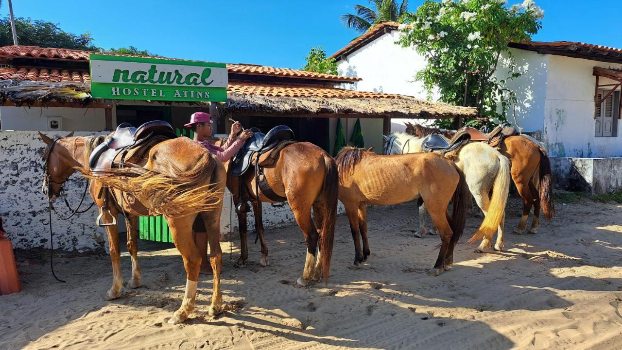 Natural Hostel أتينز المظهر الخارجي الصورة